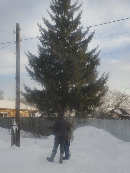 В городском парке культуры и отдыха Петровска устанавливают новогоднюю ёлку.