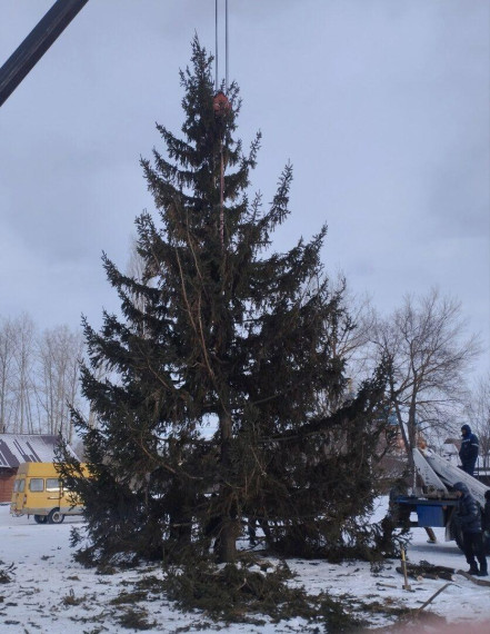 В городском парке культуры и отдыха Петровска устанавливают новогоднюю ёлку.